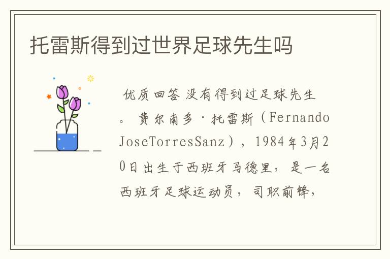托雷斯得到过世界足球先生吗
