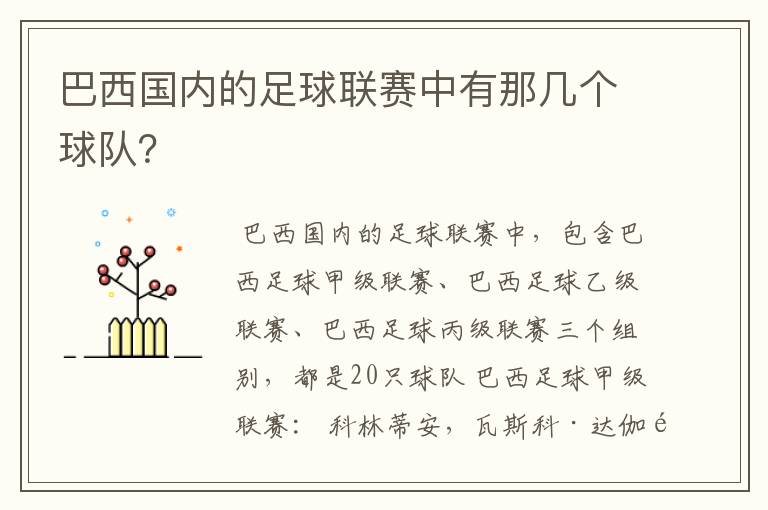巴西国内的足球联赛中有那几个球队?