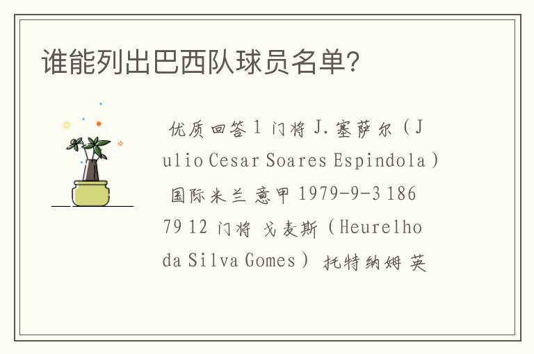 谁能列出巴西队球员名单?