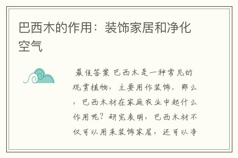 巴西木的作用:装饰家居和净化空气