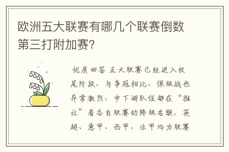 欧洲五大联赛有哪几个联赛倒数第三打附加赛?