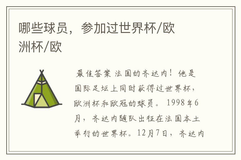 哪些球员,参加过世界杯/欧洲杯/欧
