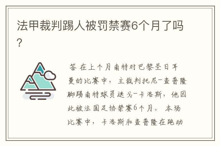 法甲裁判踢人被罚禁赛6个月了吗?