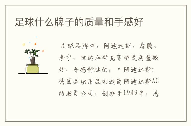 足球什么牌子的质量和手感好