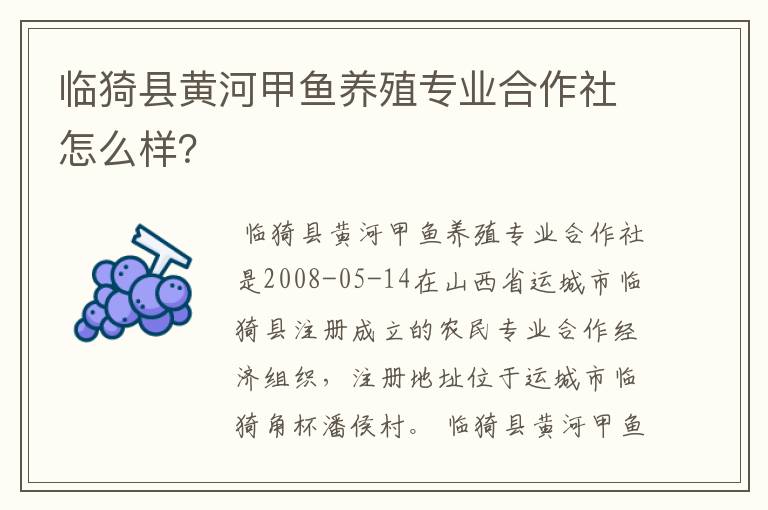 临猗县黄河甲鱼养殖专业合作社怎么样?