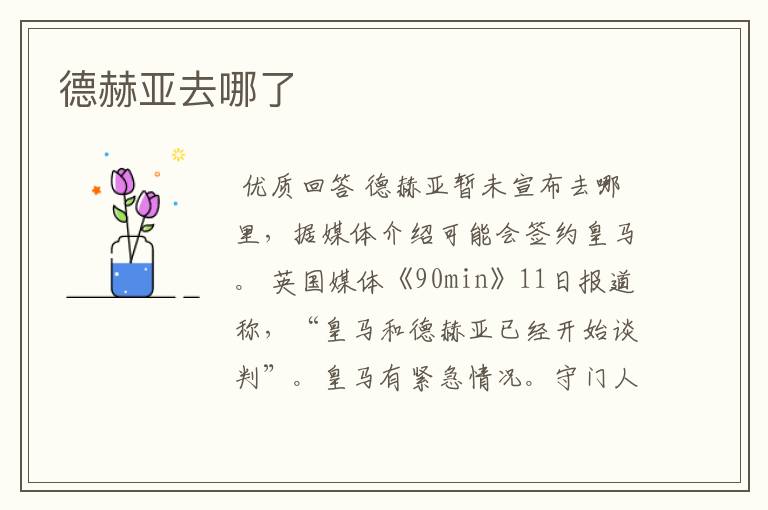 德赫亚去哪了