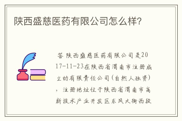 陕西盛慈医药有限公司怎么样?