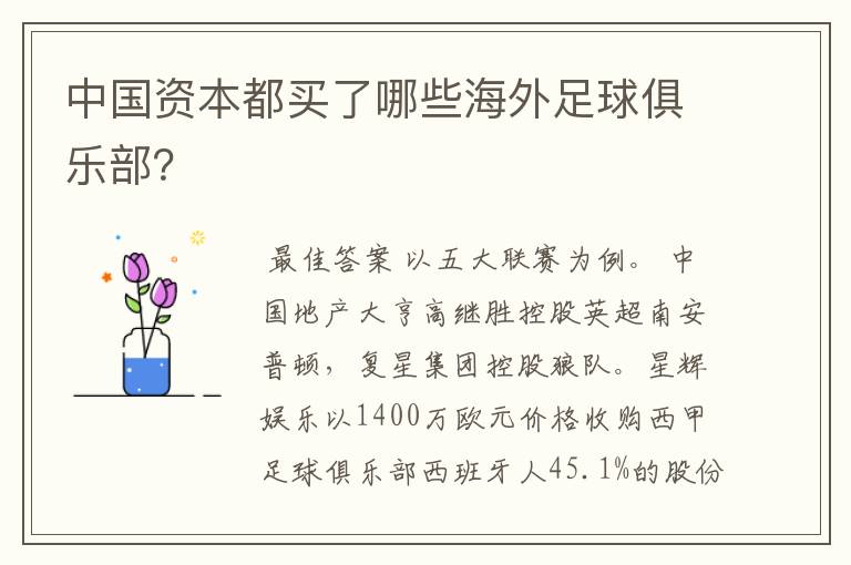 中国资本都买了哪些海外足球俱乐部?