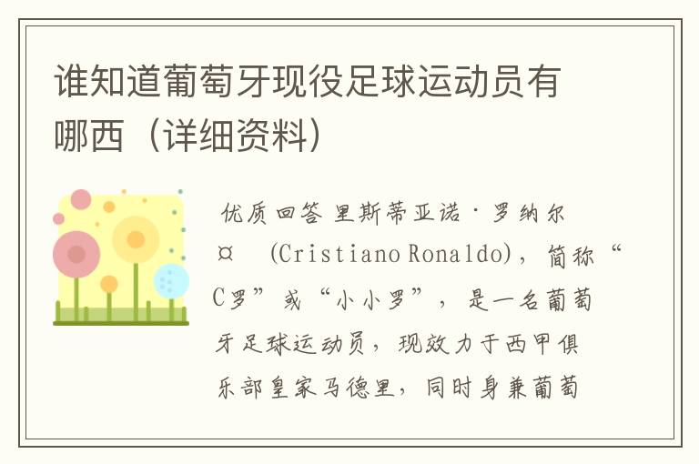 谁知道葡萄牙现役足球运动员有哪西(详细资料)