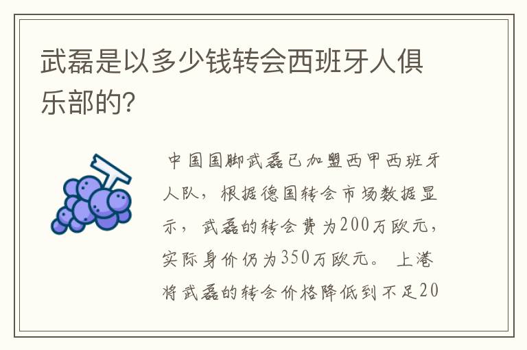 武磊是以多少钱转会西班牙人俱乐部的?