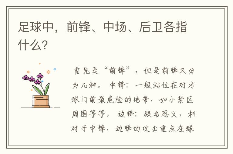 足球中,前锋、中场、后卫各指什么?