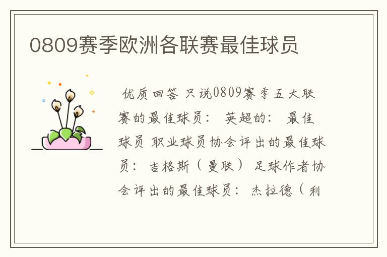 0809赛季欧洲各联赛最佳球员