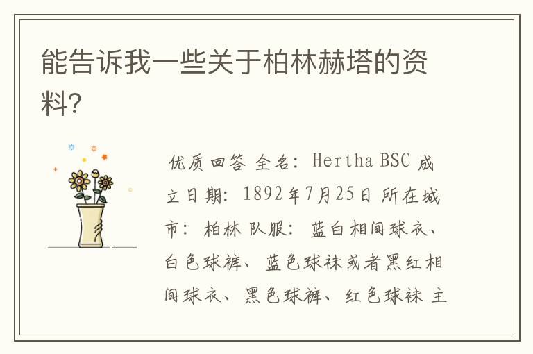 能告诉我一些关于柏林赫塔的资料?