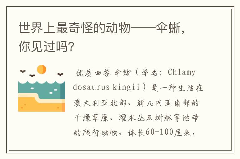 世界上最奇怪的动物——伞蜥,你见过吗?