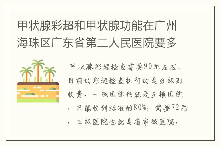 甲状腺彩超和甲状腺功能在广州海珠区广东省第二人民医院要多少钱?