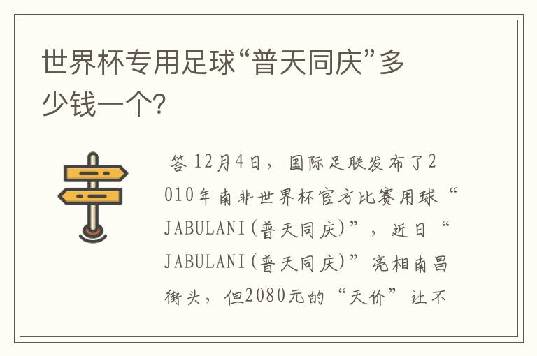 世界杯专用足球“普天同庆”多少钱一个?