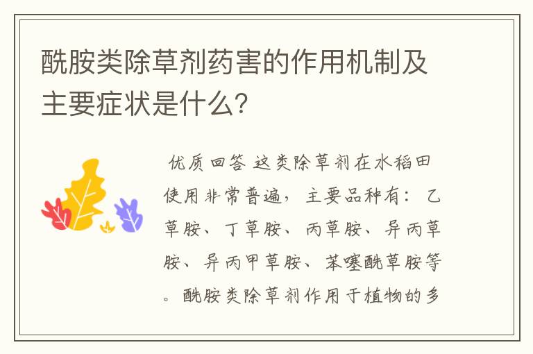 酰胺类除草剂药害的作用机制及主要症状是什么?