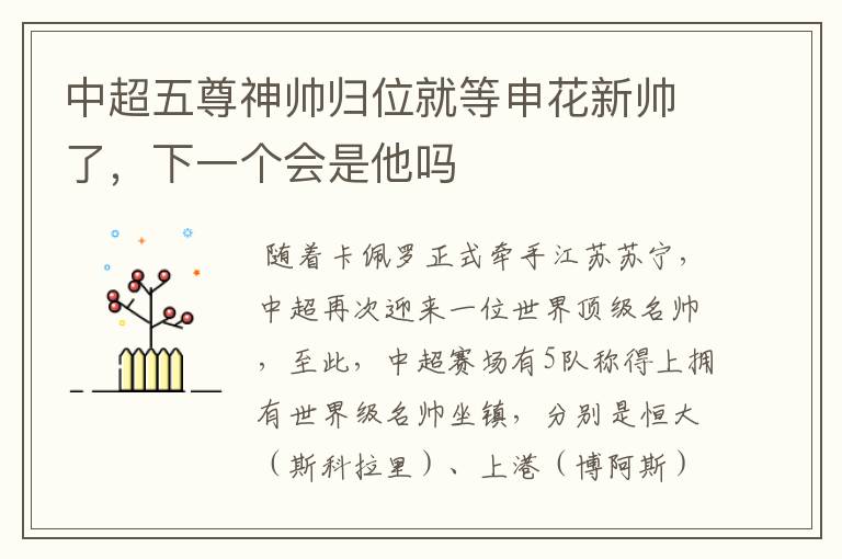 中超五尊神帅归位就等申花新帅了,下一个会是他吗