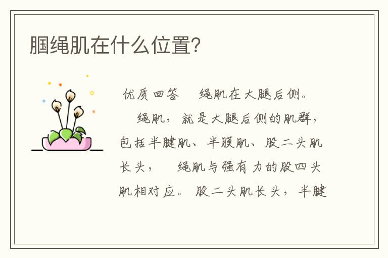 腘绳肌在什么位置?