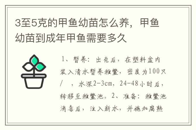 3至5克的甲鱼幼苗怎么养,甲鱼幼苗到成年甲鱼需要多久