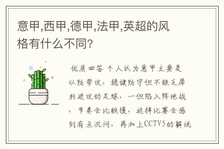 意甲,西甲,德甲,法甲,英超的风格有什么不同?