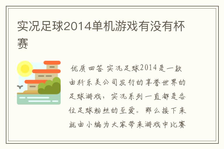 实况足球2014单机游戏有没有杯赛