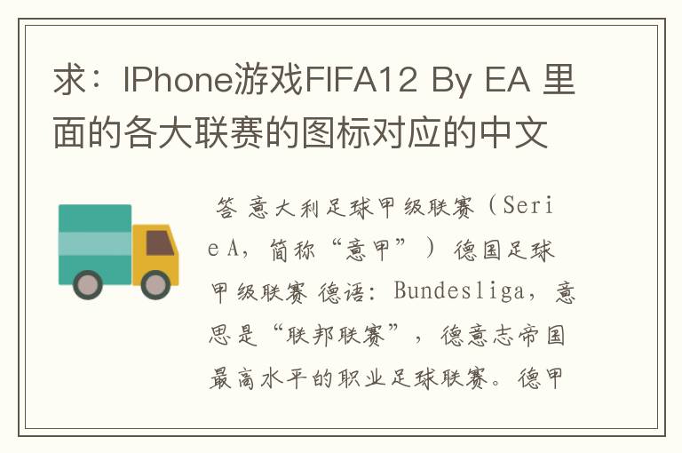 求:IPhone游戏FIFA12 By EA 里面的各大联赛的图标对应的中文名称 例如:Liga BBVA 西甲