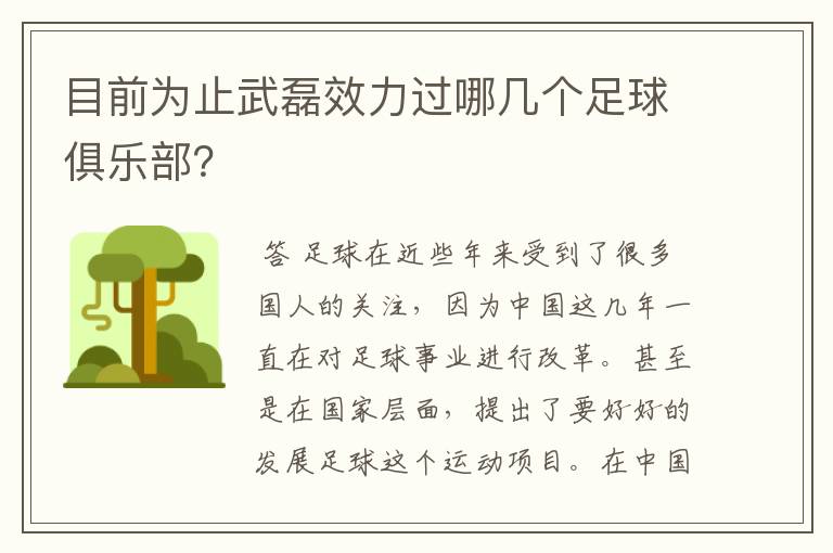 目前为止武磊效力过哪几个足球俱乐部?