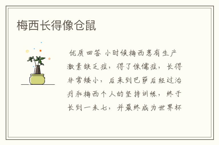 梅西长得像仓鼠
