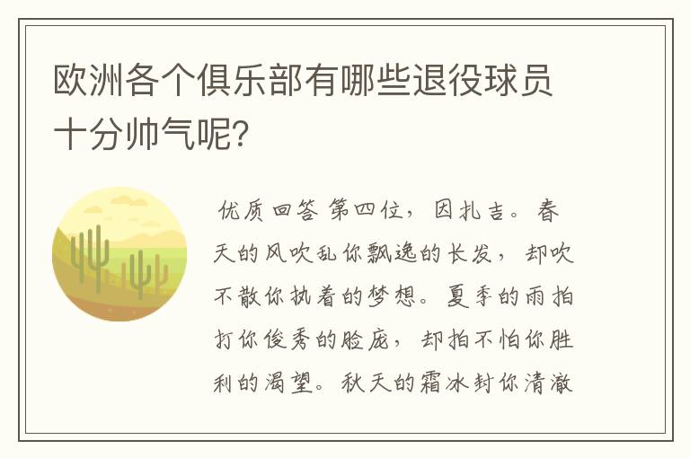 欧洲各个俱乐部有哪些退役球员十分帅气呢?