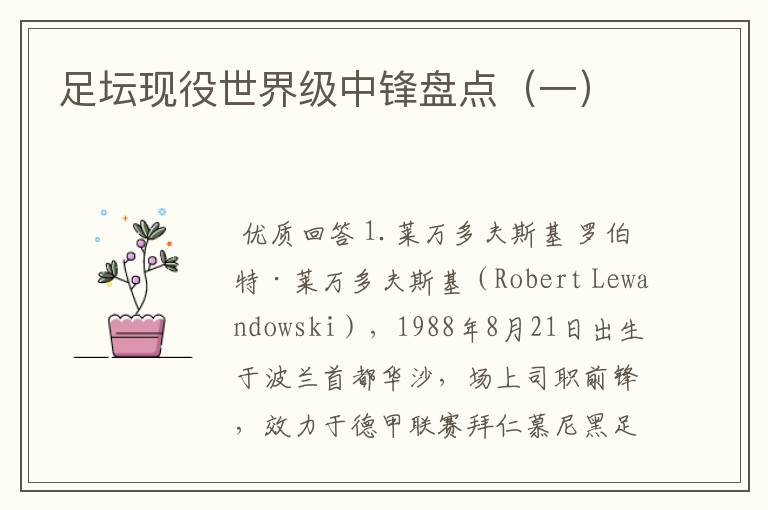 足坛现役世界级中锋盘点(一)
