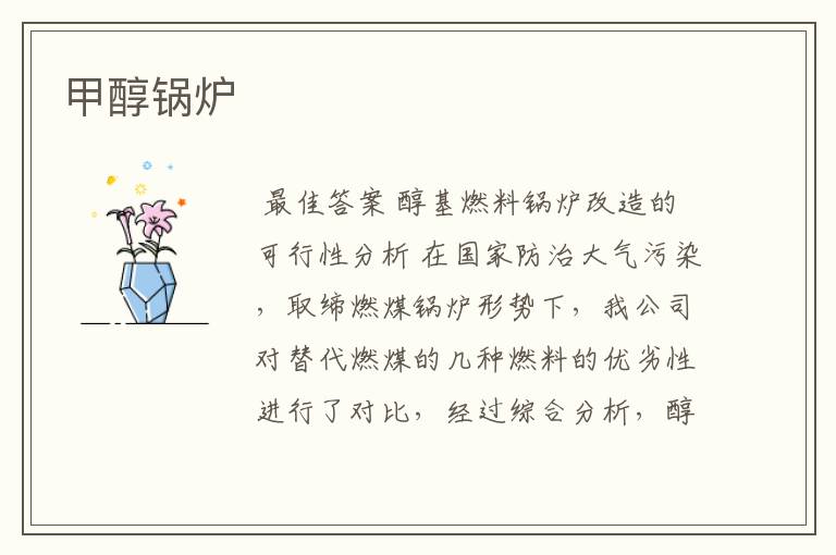 甲醇锅炉