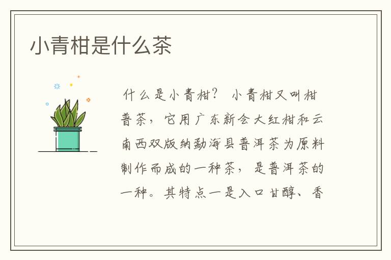 小青柑是什么茶