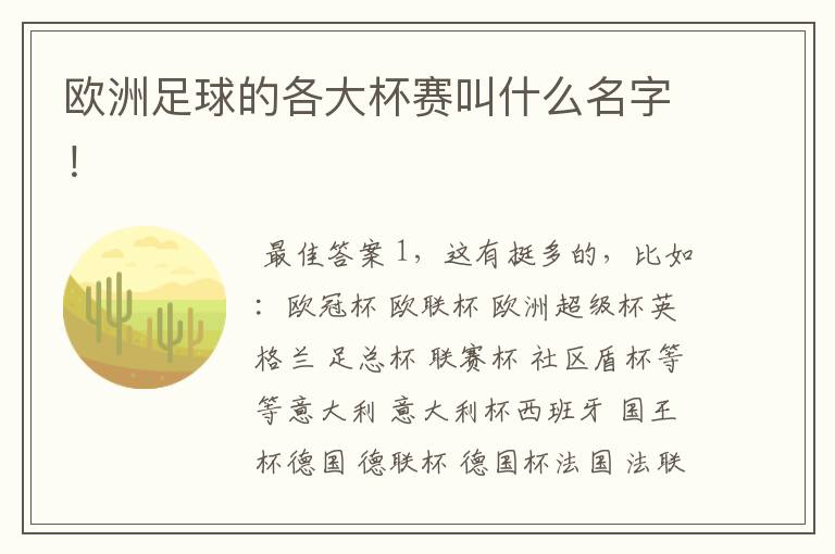 欧洲足球的各大杯赛叫什么名字!