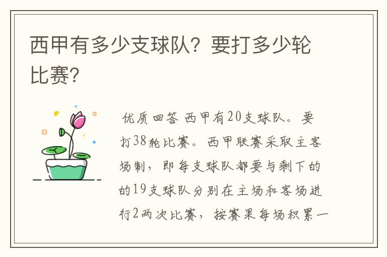 西甲有多少支球队?要打多少轮比赛?