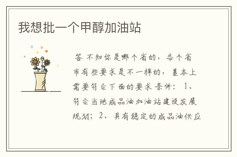 我想批一个甲醇加油站