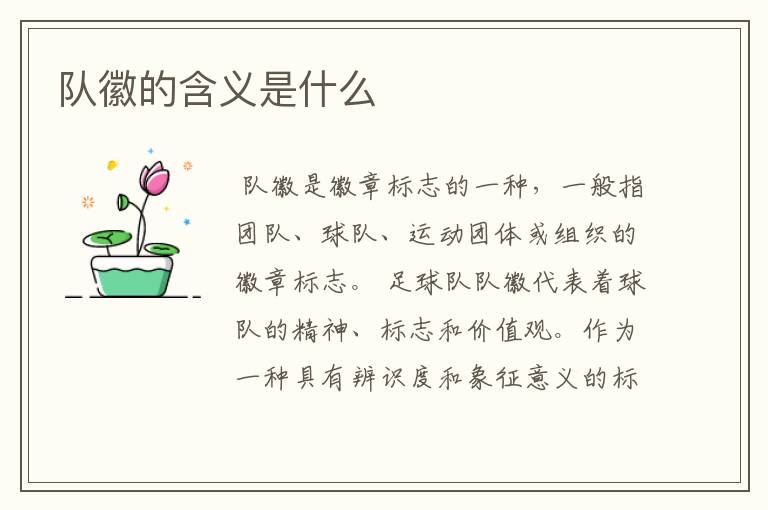队徽的含义是什么