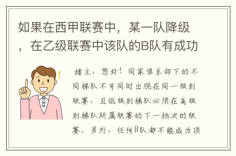 如果在西甲联赛中,某一队降级,在乙级联赛中该队的B队有成功升级,那么第二年的联赛将会怎么样呢?