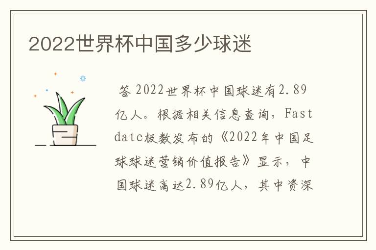 2022世界杯中国多少球迷