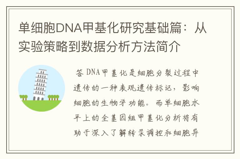 单细胞DNA甲基化研究基础篇:从实验策略到数据分析方法简介