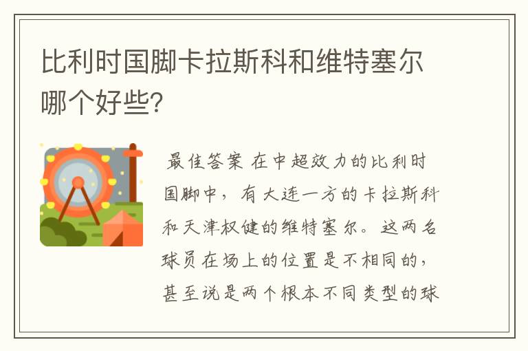 比利时国脚卡拉斯科和维特塞尔哪个好些?