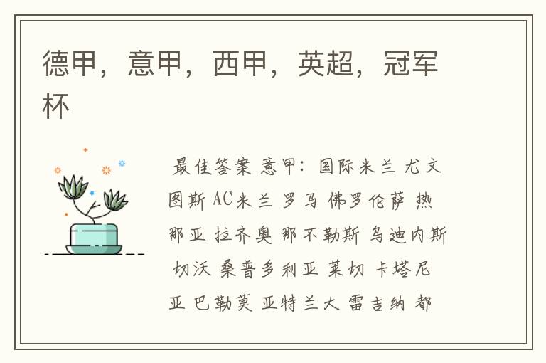 德甲,意甲,西甲,英超,冠军杯