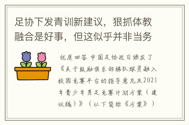 足协下发青训新建议，狠抓体教融合是好事，但这似乎并非当务之急
