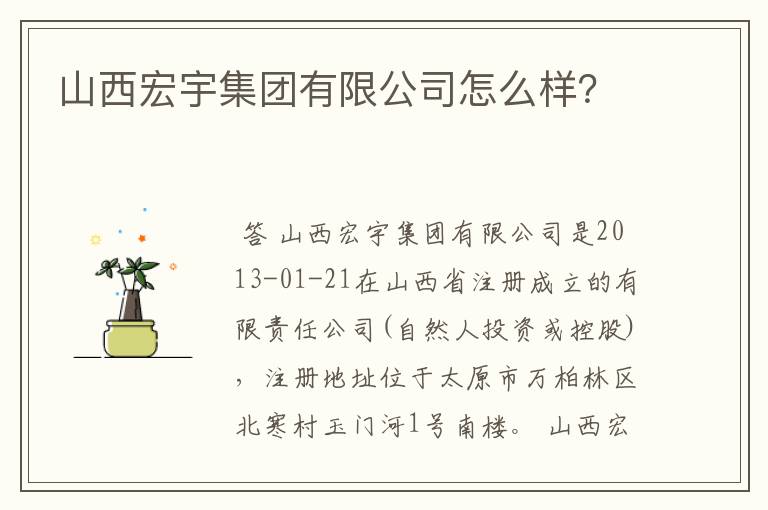 山西宏宇集团有限公司怎么样？