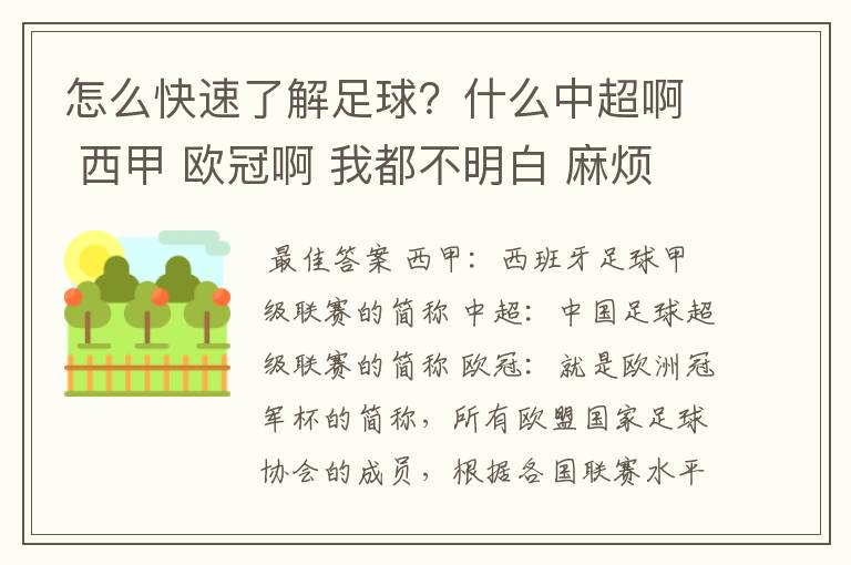 怎么快速了解足球?什么中超啊 西甲 欧冠啊 我都不明白 麻烦 有哪位特别了解足球的 跟我讲讲,多谢