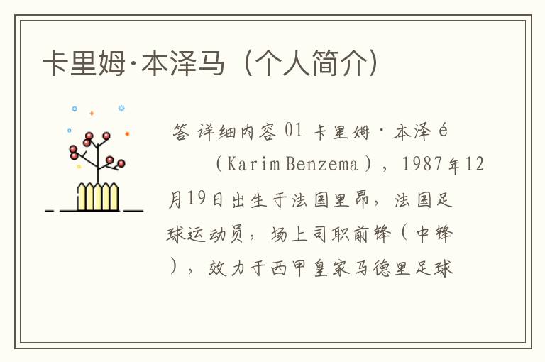 卡里姆·本泽马(个人简介)