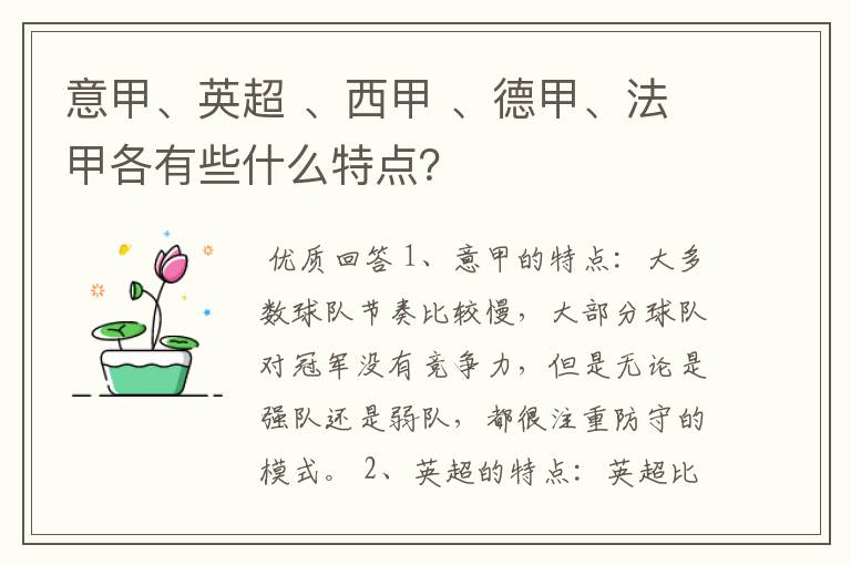 意甲、英超 、西甲 、德甲、法甲各有些什么特点?