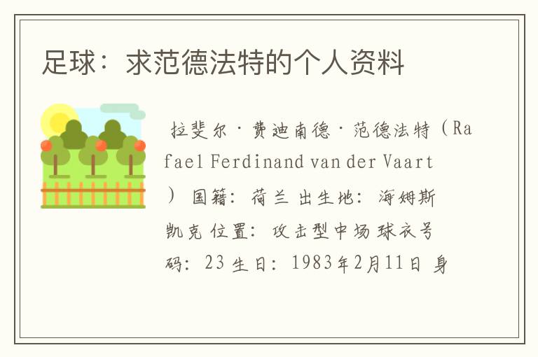 足球:求范德法特的个人资料