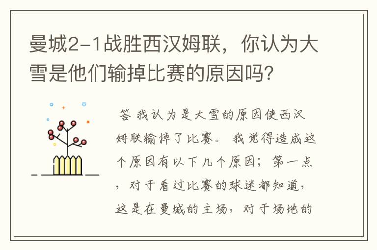 曼城2-1战胜西汉姆联,你认为大雪是他们输掉比赛的原因吗?