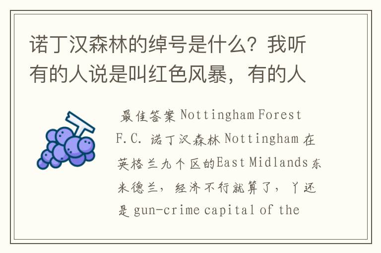 诺丁汉森林的绰号是什么?我听有的人说是叫红色风暴,有的人说是深林,具体是什么,希望资深球迷解答
